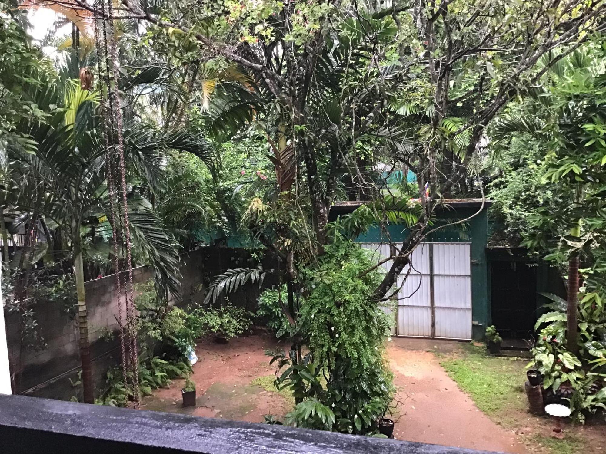Sanjeehome & Lanka Ayurveda, Bentota Eksteriør billede